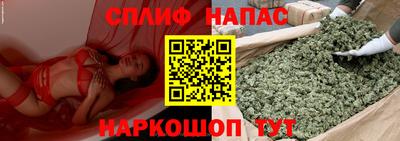 прущие грибы Краснознаменск