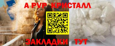 прущие грибы Краснознаменск