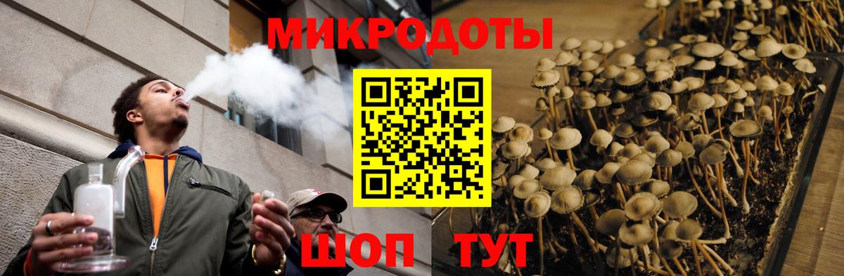 Псилоцибиновые грибы Cubensis Коммунар